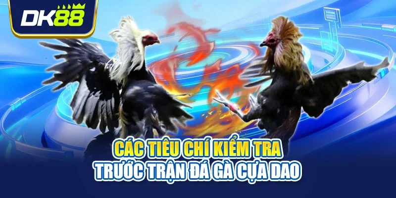 Các tiêu chí kiểm tra trước trận đá gà cựa dao