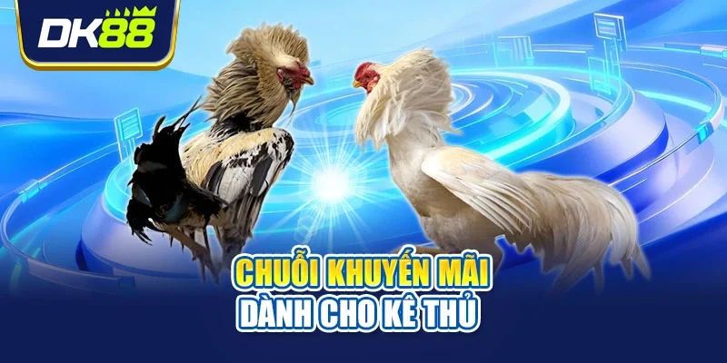 Chuỗi khuyến mãi dành cho kê thủ 