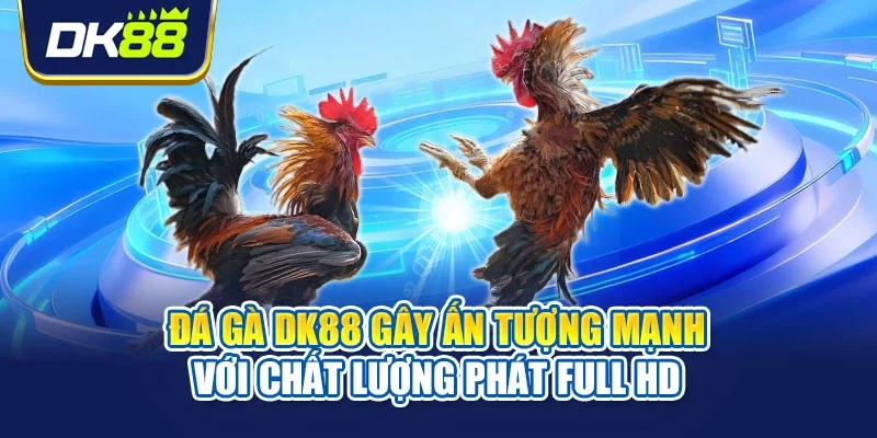 Đá gà DK88 gây ấn tượng mạnh với chất lượng phát full HD