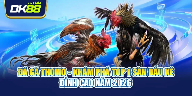 Đá gà Thomo