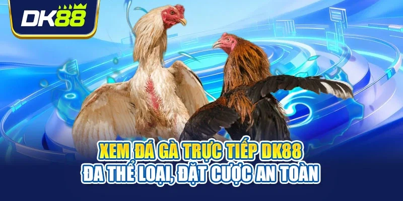 đá gà trực tiếp